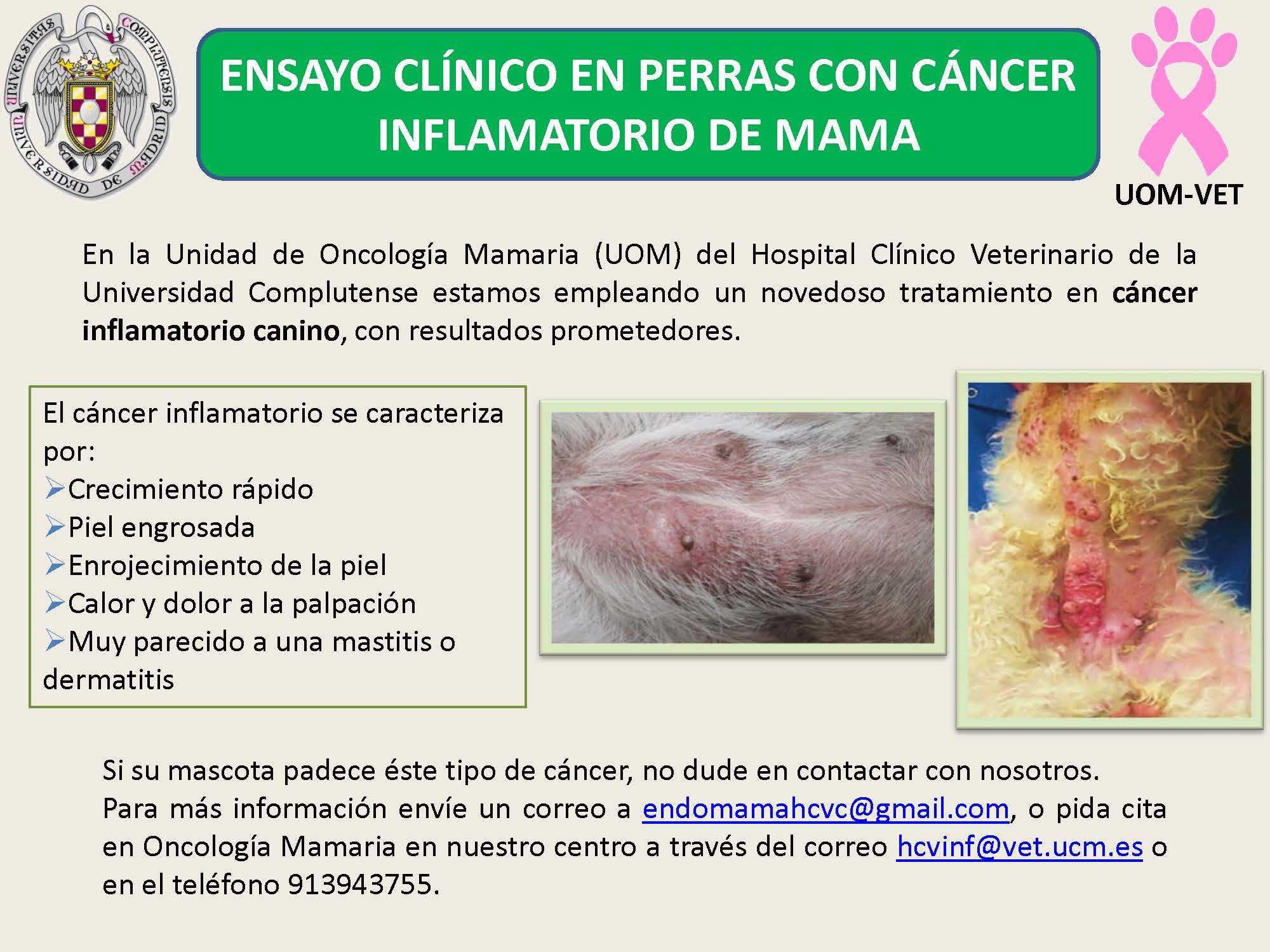 Ensayo clínico en perras con cáncer inflamatorio de mama